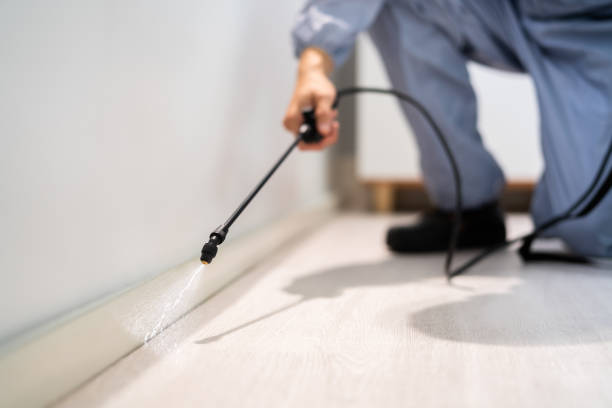 Licensed Termite Control service in Erwinville, LA - Nex Pest Control