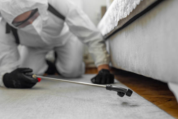 Professional Termite Control technician working in Erwinville, LA