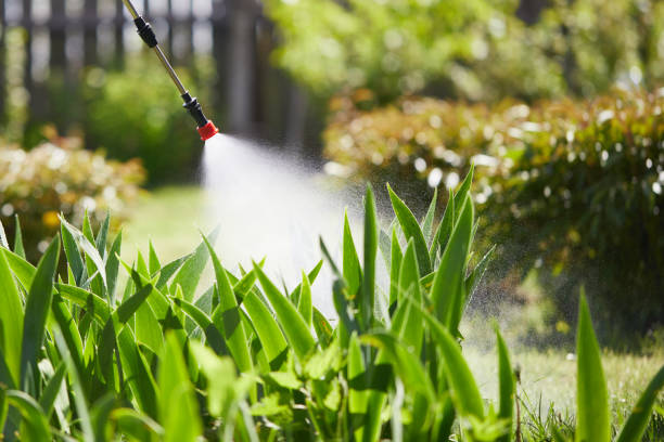 24/7 Emergency Termite Control experts in Erwinville, LA