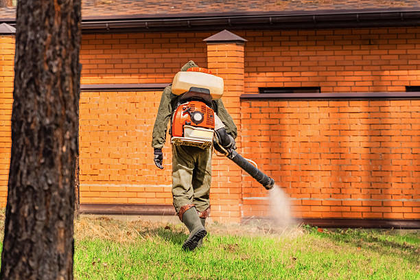 Top rated local Termite Control specialists in Erwinville, LA